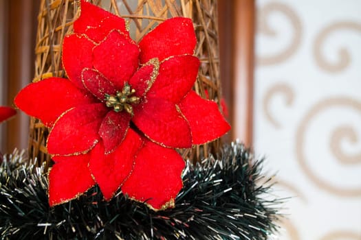 Red poinsettia decoration close up. Christmas flower card concept