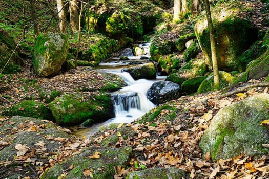 Stream Through Autumn Forest, landscape with flowing water