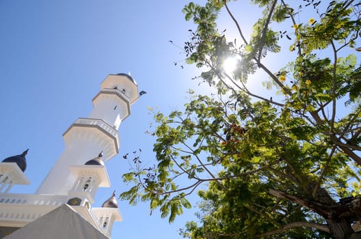 Georgetown, Penang/Malaysia - Jul 30 2016: Masjid Kapitan Keling with green tree in hot sunny day.