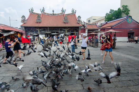 Georgetown, Penang/Malaysia - Aug 07 2016: Visitor to the Goddess of Mercy temple feeling interested with dove fly around.