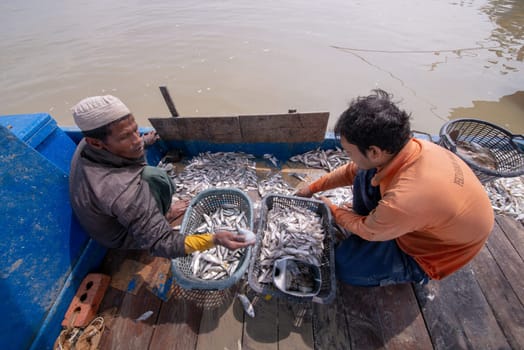 Kuala Muda, Penang/Malaysia - Mar 19 2017: Fisherman put all the fish into basket.