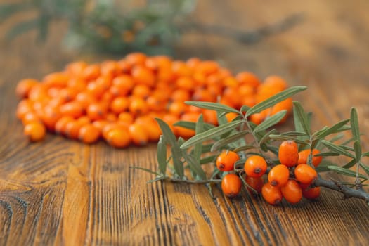 Bunch of sea buckthorn on wooden background in autumn. Little berries rich in vitamin on brown table. Branch with orange healthy sour fruit and green leaves.