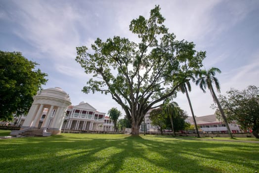 George Town, Penang/Malaysia - Jul 07 2017: Green tree with St George's Church as background.