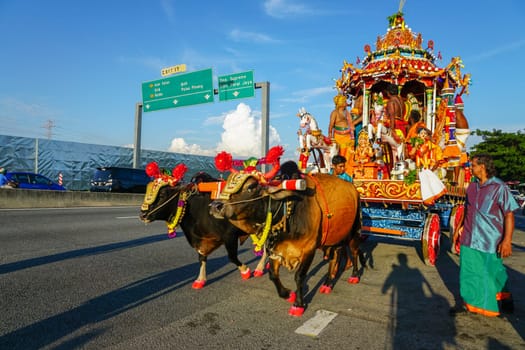 Butterworth, Penang/Malaysia - Aug 03 2017: Cows carry chariot procession at street.