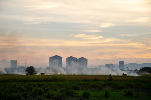 Bukit Mertajam, Penang/Malaysia - Mar 21 2018: A man walk at the paddy field with open burning.
