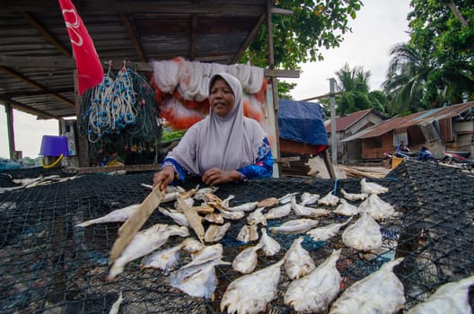 George Town, Penang/Malaysia - Oct 05 2018: Malays woman prepare salted fish.