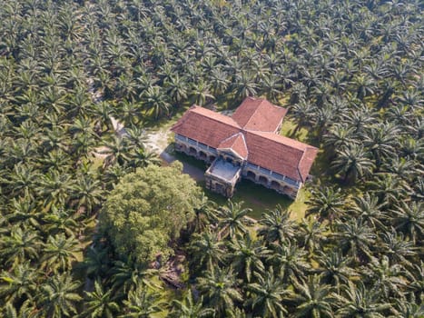 Nibong Tebal, Penang/Malaysia - Jun 27 2019: Aerial view 99 doors mansion surrounded by oil palm at Nibong Tebal.