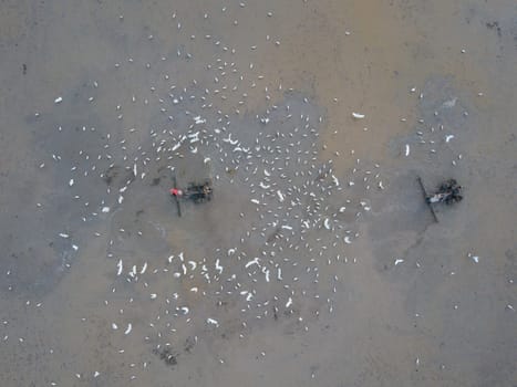 Bukit Mertajam, Penang/Malaysia - Jun 27 2019: Two farmers use tractor plow the soil in field.