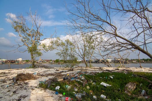 Sekinchan, Selangor/Malaysia - Oct 06 2019: Rubbish throw at the bare tree.