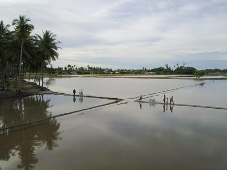 Penaga, Penang/Malaysia - Nov 01 2019: People enjoy eco tourism scenery at coconut farm.