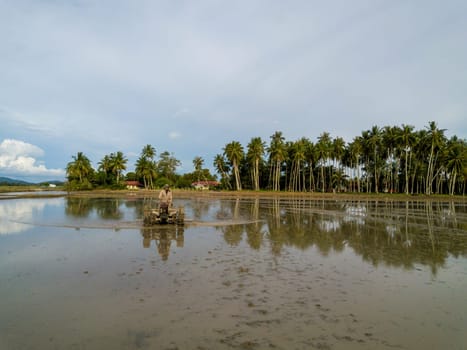 Penaga, Penang/Malaysia - Nov 02 2019: Reflection farmer work at field with tractor.