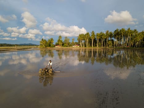 Penaga, Penang/Malaysia - Nov 02 2019: Farmer work in rice paddy field with tractor during flooded season.