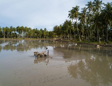Penaga, Penang/Malaysia - Nov 02 2019: Farmer use machine tractor plowing land. Background is coconut farm.