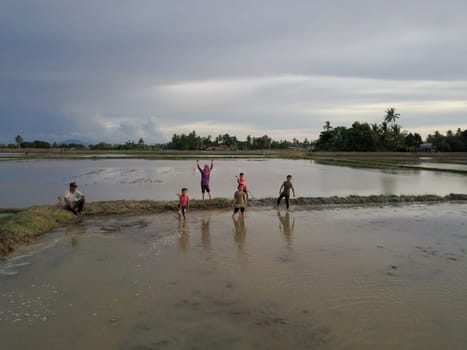Penaga, Penang/Malaysia - Nov 03 2019: Aerial view kampung kids play in paddy field.