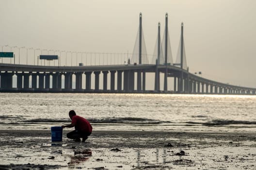 George Town, Penang/Malaysia - Dec 28 2019: Local dig clam with bucket near Penang second Bridge.