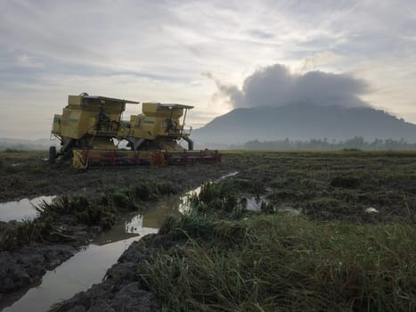 Bukit Mertajam, Penang/Malaysia - Oct 27 2019: Two harvesters park at paddy field.