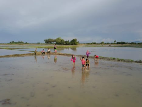 Penaga, Penang/Malaysia - Nov 03 2019: Malays kids play at paddy field during water season.