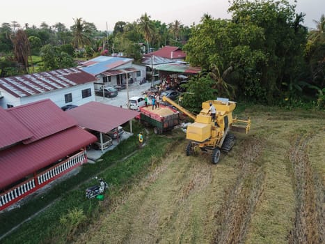 Bukit Merajam, Penang/Malaysia - Mar 02 2020: Harvester transfer reap paddy field to truck
