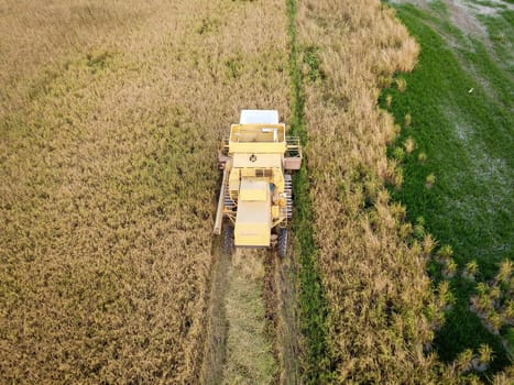 Bukit Merajam, Penang/Malaysia - Mar 02 2020: Top view harvester in paddy field.