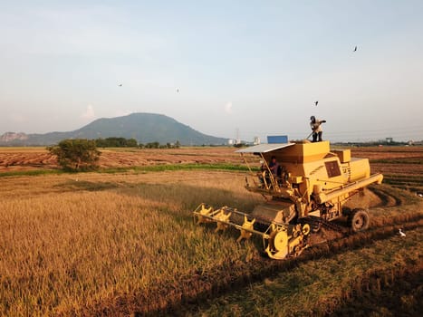Bukit Merajam, Penang/Malaysia - Mar 02 2020: Bukit Merajam, Penang/Malaysia - Mar 02 2020: Harvester is harvesting in rice field.