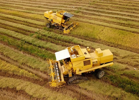 Bukit Mertajam, Penang/Malaysia - Mar 07 2020: Two yellow combine harvester in field.