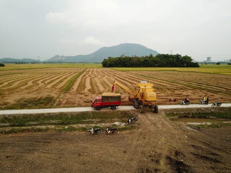 Bukit Mertajam, Penang/Malaysia - Mar 07 2020: Farmer transfer the crop from harvester to the truck.