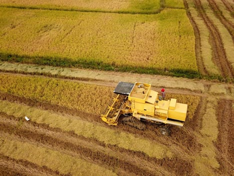 Bukit Mertajam, Penang/Malaysia - Mar 07 2020: Farmer in combine harvester at paddy field.