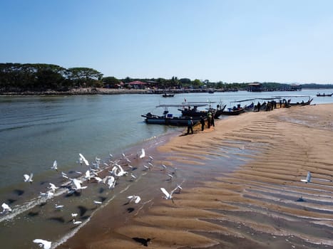 Penaga, Penang/Malaysia - Mar 14 2020: Egret birds fly near fishing boat.