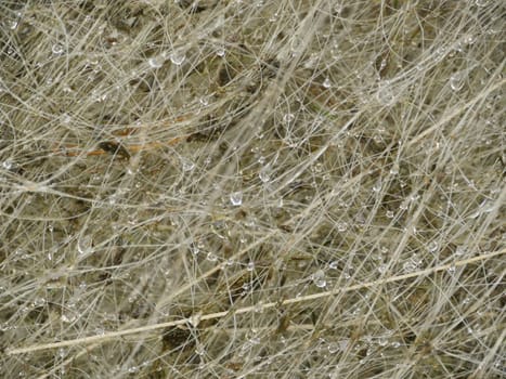 wet fishing nets dry close-up, abstract background
