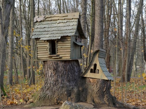 wooden house feeding trough for birds and squirrels in a public park