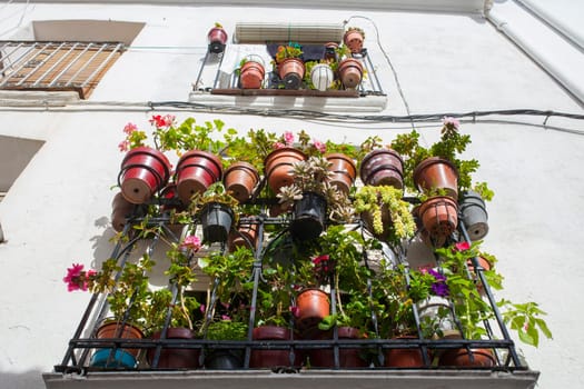 Balcony stuffed with flowerpots. Jaraiz de la Vera, Caceres, Extremadura, Spain
