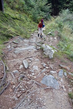 Hike on the Verdinser Waal trail to the Waaler hut, Schenna, South Tyrol, Italy