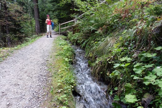 Hike on the Verdinser Waal trail to the Waaler hut, Schenna, South Tyrol, Italy