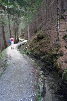 Hike on the Verdinser Waal trail to the Waaler hut, Schenna, South Tyrol, Italy