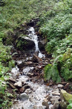 Hike on the Verdinser Waal trail to the Waaler hut, Schenna, South Tyrol, Italy