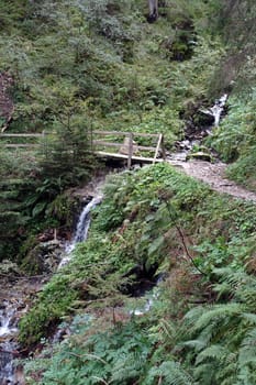 Hike on the Verdinser Waal trail to the Waaler hut, Schenna, South Tyrol, Italy