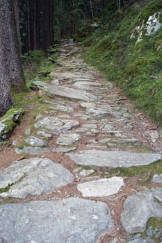 Hike on the Verdinser Waal trail to the Waaler hut, Schenna, South Tyrol, Italy