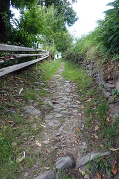Hike on the Verdinser Waal trail to the Waaler hut, Schenna, South Tyrol, Italy