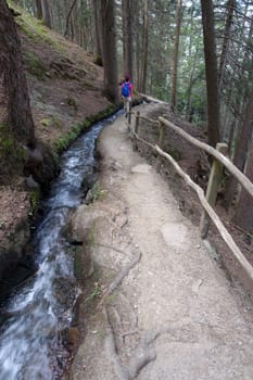 Hike on the Verdinser Waal trail to the Waaler hut, Schenna, South Tyrol, Italy