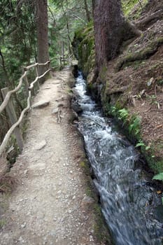 Hike on the Verdinser Waal trail to the Waaler hut, Schenna, South Tyrol, Italy