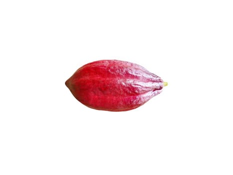 Cocoa pods organic chocolate on white background