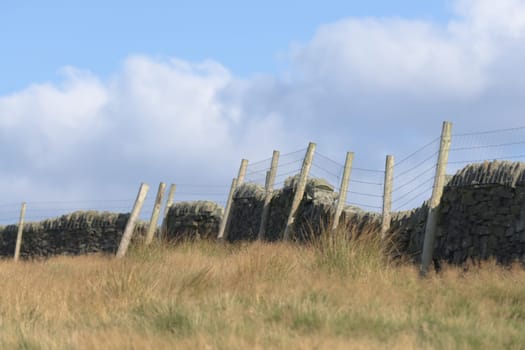 Telephoto image of blue cloudy sky behind wire wood fence and a shadowed dry stone wall. Long bright meadow grass blurred in foreground. Copy space