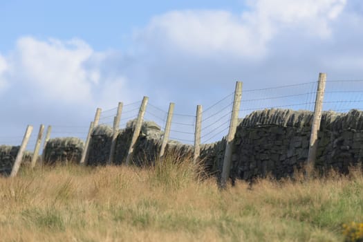 Field of long grass bordered by dark dry stone wall and wire fence with wooden posts. Gentle summers evening sun lights the image, and blue sky behind