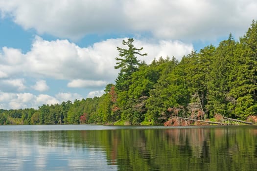 Sunny Day on a North Woods Lake in the Sylvania Wilderness in Michigan
