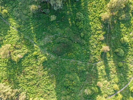 Aerial view of nature area with grass, trees, hiking pathways and animal trails. Beauty in nature