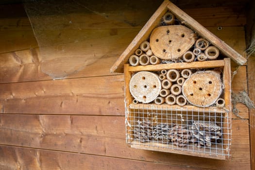 insect and bee hotel and shelter mounted on wooden wall in the garden