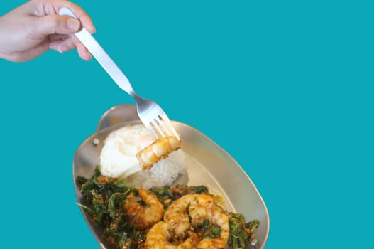 Stirred-fry shrimps or prawns with basil leaves, fried egg over rice on blue background . Thai food