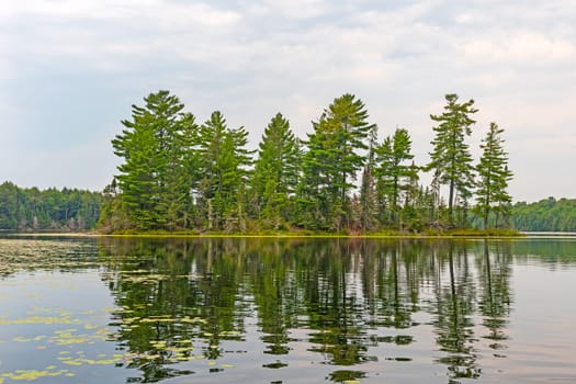 Quiet Day on a North Woods Lake in the Sylvania Wilderness in Michigan