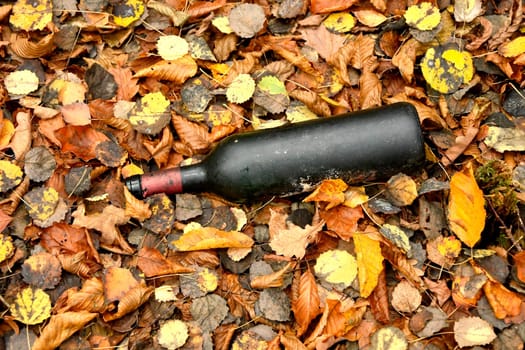 old wine bottle in autumnal painted leaves