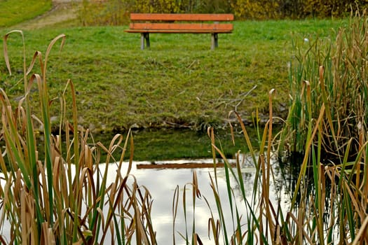 park bench at a pond in autumn